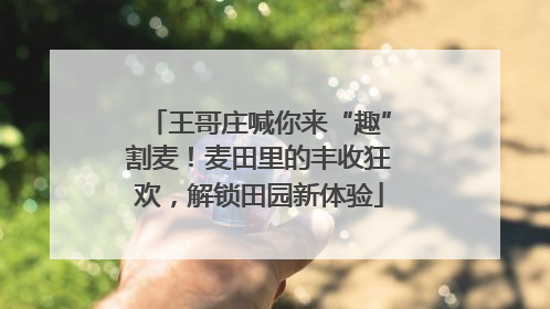 王哥庄喊你来“趣”割麦！麦田里的丰收狂欢，解锁田园新体验