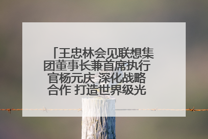 王忠林会见联想集团董事长兼首席执行官杨元庆 深化战略合作 打造世界级光电子信息产业集群