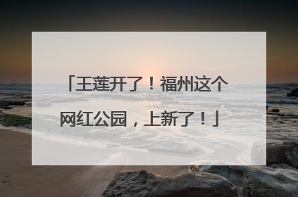 王莲开了！福州这个网红公园，上新了！