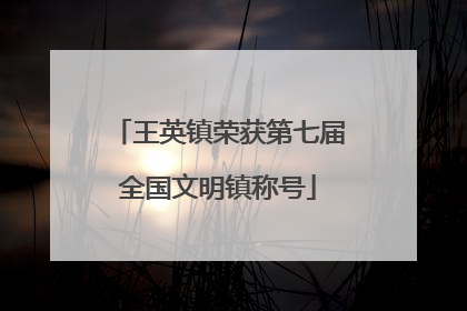 王英镇荣获第七届全国文明镇称号