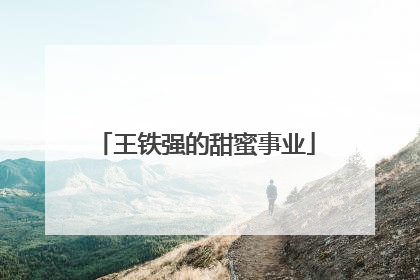 王铁强的甜蜜事业
