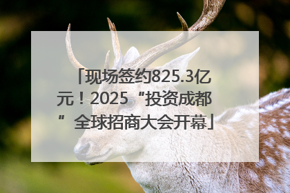 现场签约825.3亿元！2025“投资成都”全球招商大会开幕