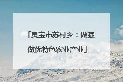 灵宝市苏村乡：做强做优特色农业产业