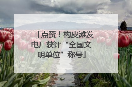 点赞！构皮滩发电厂获评“全国文明单位”称号