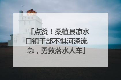 点赞！桑植县凉水口镇干部不惧河深流急，勇救落水人车