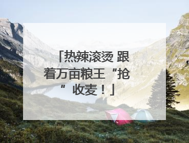 热辣滚烫 跟着万亩粮王“抢”收麦！