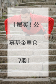 爆买！公募基金重仓7股