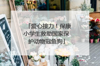 爱心接力！保康小学生救助国家保护动物冠鱼狗