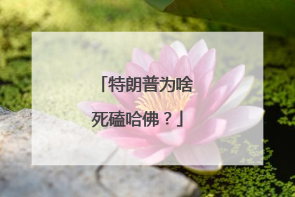 特朗普为啥死磕哈佛？
