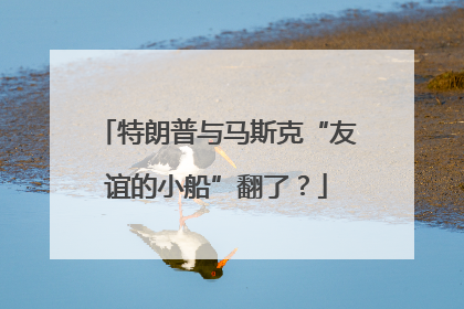 特朗普与马斯克“友谊的小船”翻了？