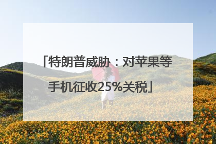 特朗普威胁：对苹果等手机征收25%关税