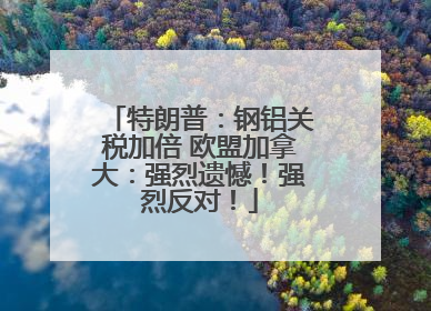 特朗普：钢铝关税加倍 欧盟加拿大：强烈遗憾！强烈反对！