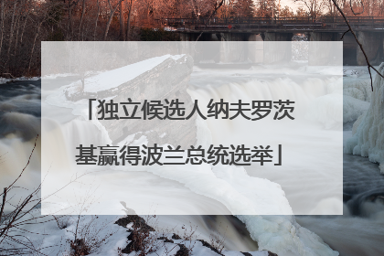 独立候选人纳夫罗茨基赢得波兰总统选举