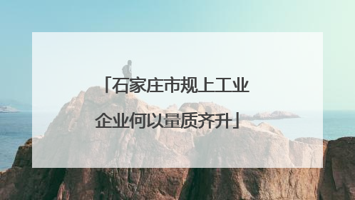 石家庄市规上工业企业何以量质齐升
