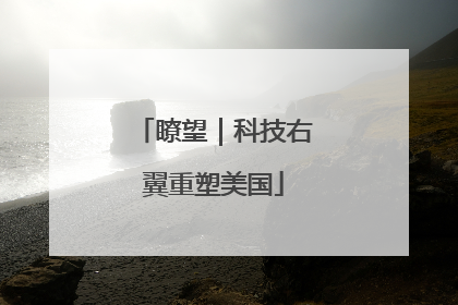 瞭望｜科技右翼重塑美国