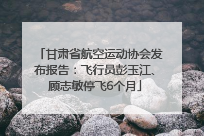 甘肃省航空运动协会发布报告：飞行员彭玉江、顾志敏停飞6个月