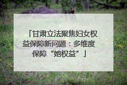 甘肃立法聚焦妇女权益保障新问题：多维度保障“她权益”