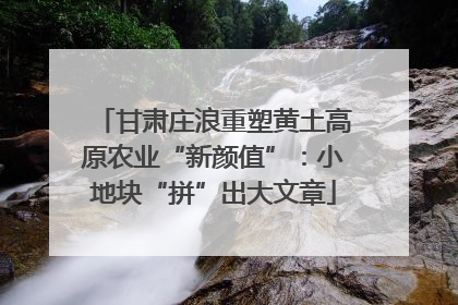 甘肃庄浪重塑黄土高原农业“新颜值”：小地块“拼”出大文章