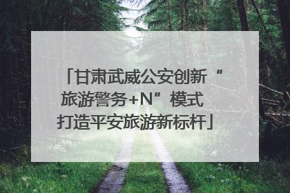 甘肃武威公安创新“旅游警务+N”模式 打造平安旅游新标杆