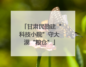 甘肃民勤建“科技小院”守大漠“粮仓”