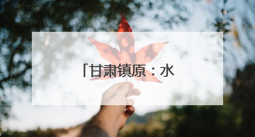 甘肃镇原：水库保供 灌区浇地 旱塬补种