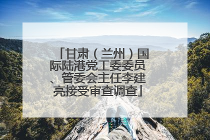 甘肃（兰州）国际陆港党工委委员、管委会主任李建亮接受审查调查