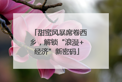 甜蜜风暴席卷西乡，解锁“浪漫+经济”新密码