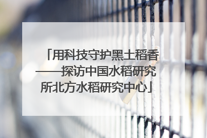 用科技守护黑土稻香——探访中国水稻研究所北方水稻研究中心