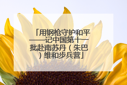用钢枪守护和平——记中国第十一批赴南苏丹（朱巴）维和步兵营