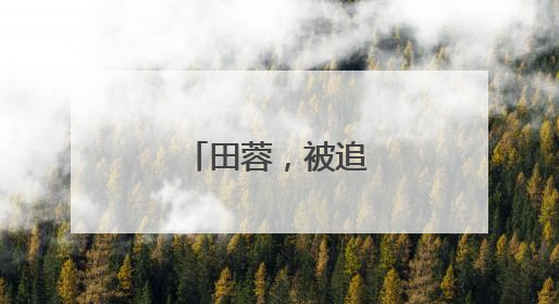 田蓉，被追认撤销资格
