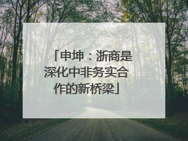 申坤：浙商是深化中非务实合作的新桥梁