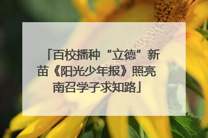 百校播种“立德”新苗《阳光少年报》照亮南召学子求知路