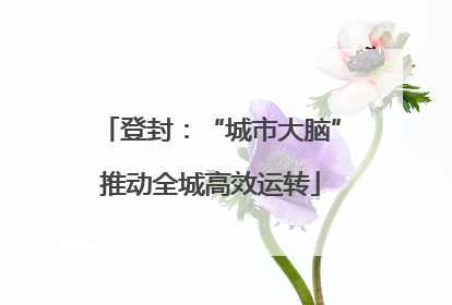 登封：“城市大脑”推动全城高效运转