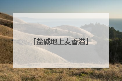 盐碱地上麦香溢