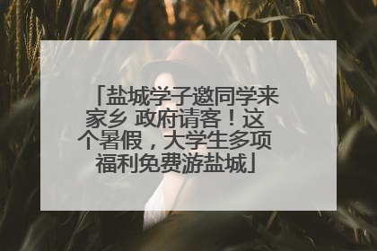 盐城学子邀同学来家乡 政府请客！这个暑假，大学生多项福利免费游盐城
