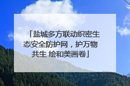 盐城多方联动织密生态安全防护网，护万物共生 绘和美画卷