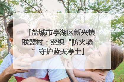 盐城市亭湖区新兴镇联盟村：密织“防火墙”守护蓝天净土
