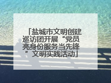 盐城市文明创建巡访团开展“党员亮身份服务当先锋”文明实践活动