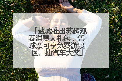 盐城推出苏超观赛消费大礼包，凭球票可享免费游景区、抽汽车大奖