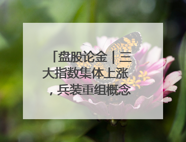 盘股论金｜三大指数集体上涨，兵装重组概念遥遥领先