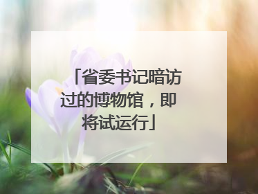 省委书记暗访过的博物馆，即将试运行