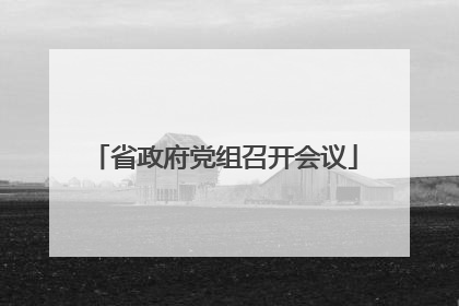 省政府党组召开会议