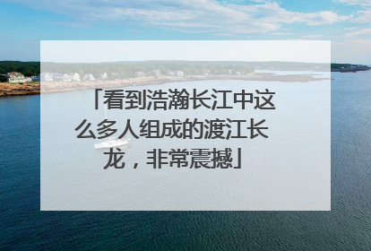看到浩瀚长江中这么多人组成的渡江长龙，非常震撼