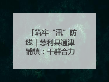 筑牢“汛”防线｜慈利县通津铺镇：干群合力抗击洪灾