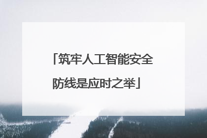 筑牢人工智能安全防线是应时之举