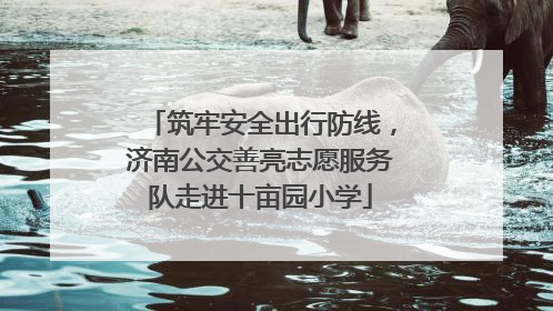 筑牢安全出行防线，济南公交善亮志愿服务队走进十亩园小学