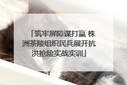筑牢屏障谋打赢 株洲茶陵组织民兵展开抗洪抢险实战实训