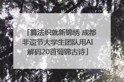 算法织就新锦绣 成都非遗节大学生团队用AI解码20首蜀锦古诗
