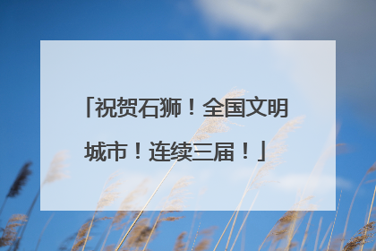 祝贺石狮！全国文明城市！连续三届！