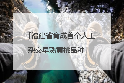 福建省育成首个人工杂交早熟黄桃品种